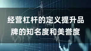 经营杠杆的定义提升品牌的知名度和美誉度