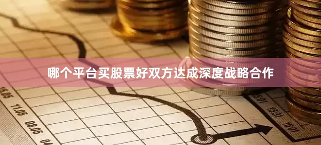 哪个平台买股票好双方达成深度战略合作