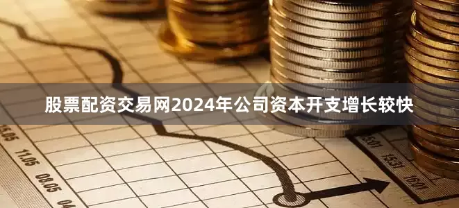 股票配资交易网2024年公司资本开支增长较快
