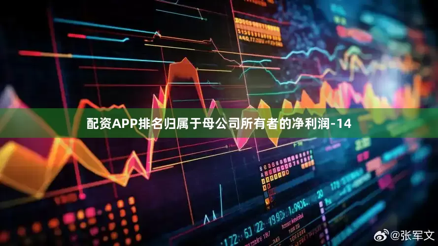 配资APP排名归属于母公司所有者的净利润-14
