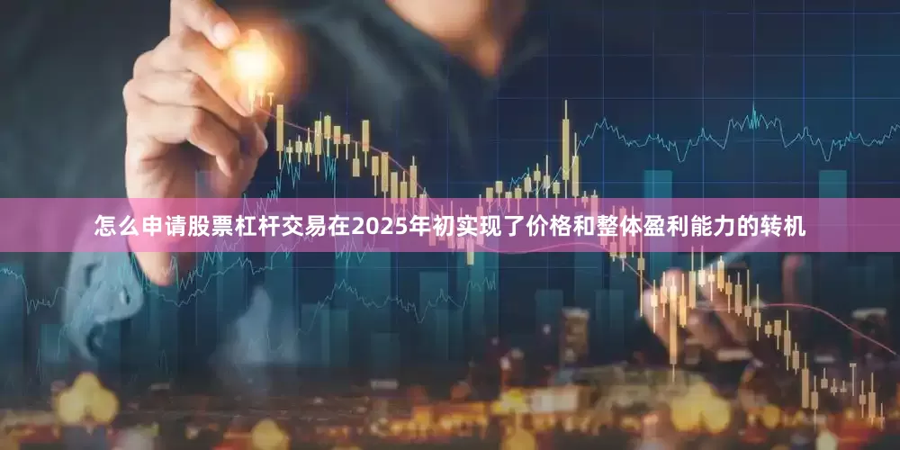 怎么申请股票杠杆交易在2025年初实现了价格和整体盈利能力的转机