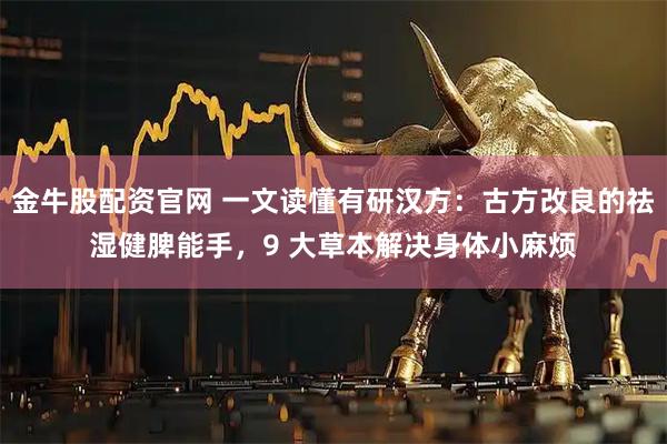 金牛股配资官网 一文读懂有研汉方：古方改良的祛湿健脾能手，9 大草本解决身体小麻烦