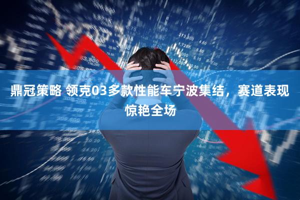 鼎冠策略 领克03多款性能车宁波集结，赛道表现惊艳全场