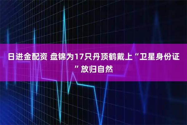 日进金配资 盘锦为17只丹顶鹤戴上“卫星身份证”放归自然